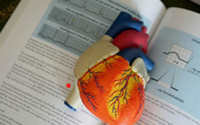 Risques cardiovasculaires au travail